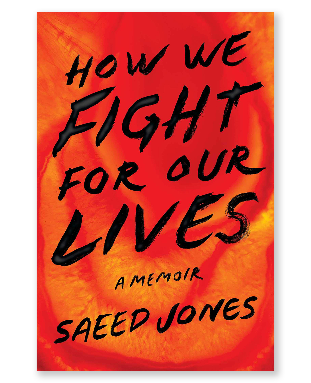 how we fight for our lives author